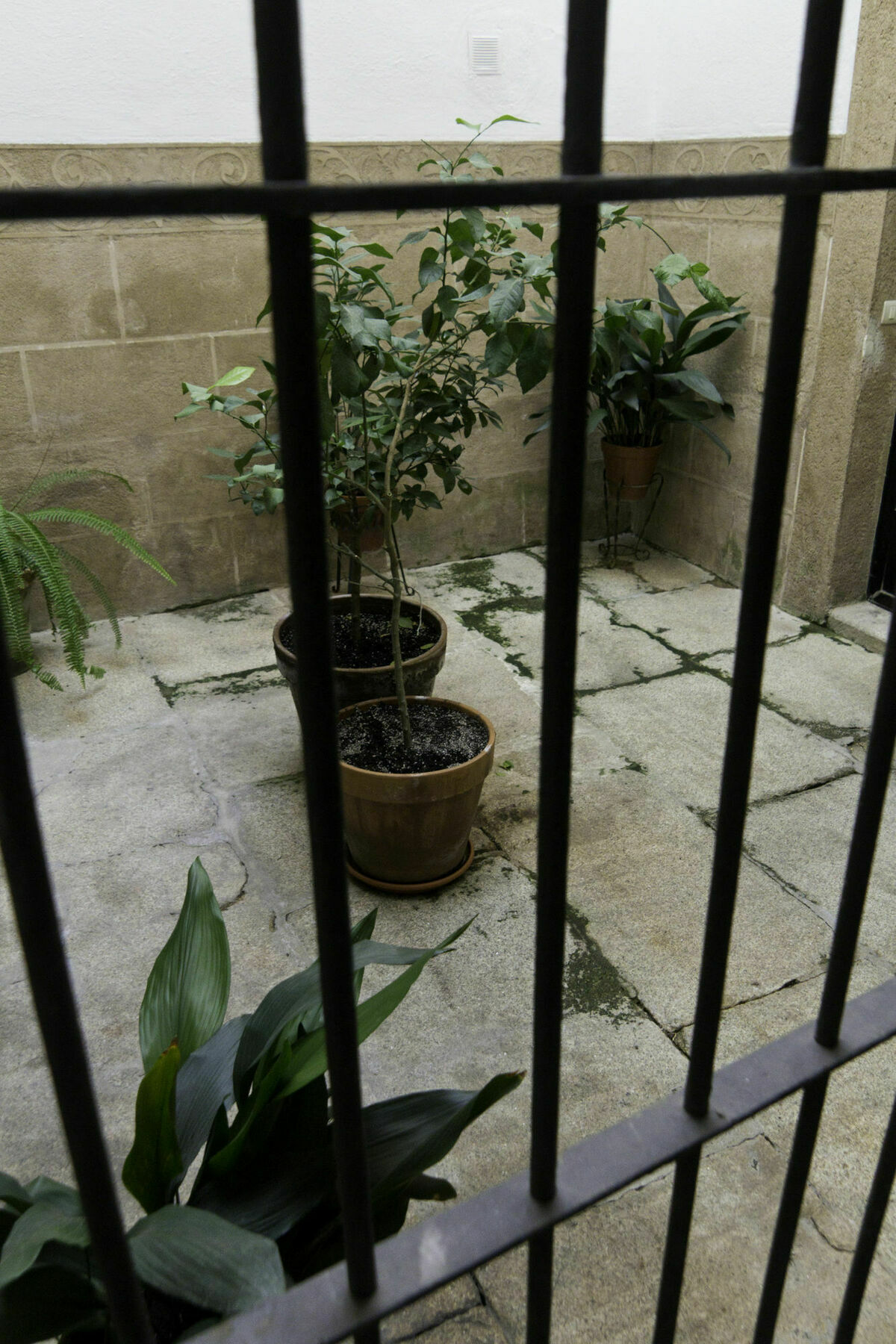 Casa Conde De Santa Olalla Caces エクステリア 写真